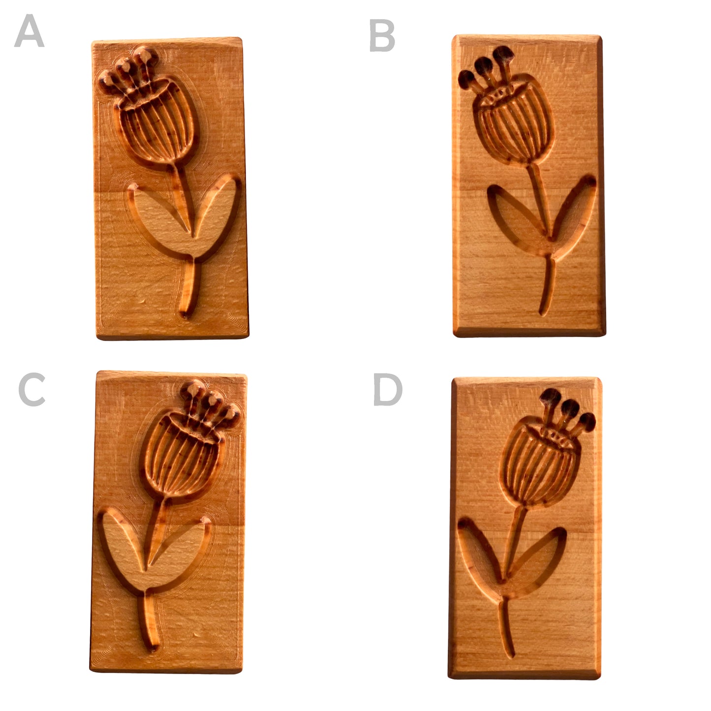 Rechteck-Stempel--Pflanze 13 TONA arts