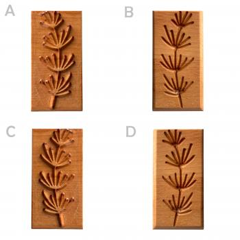 Rechteck-Stempel--Pflanze 7 TONA arts