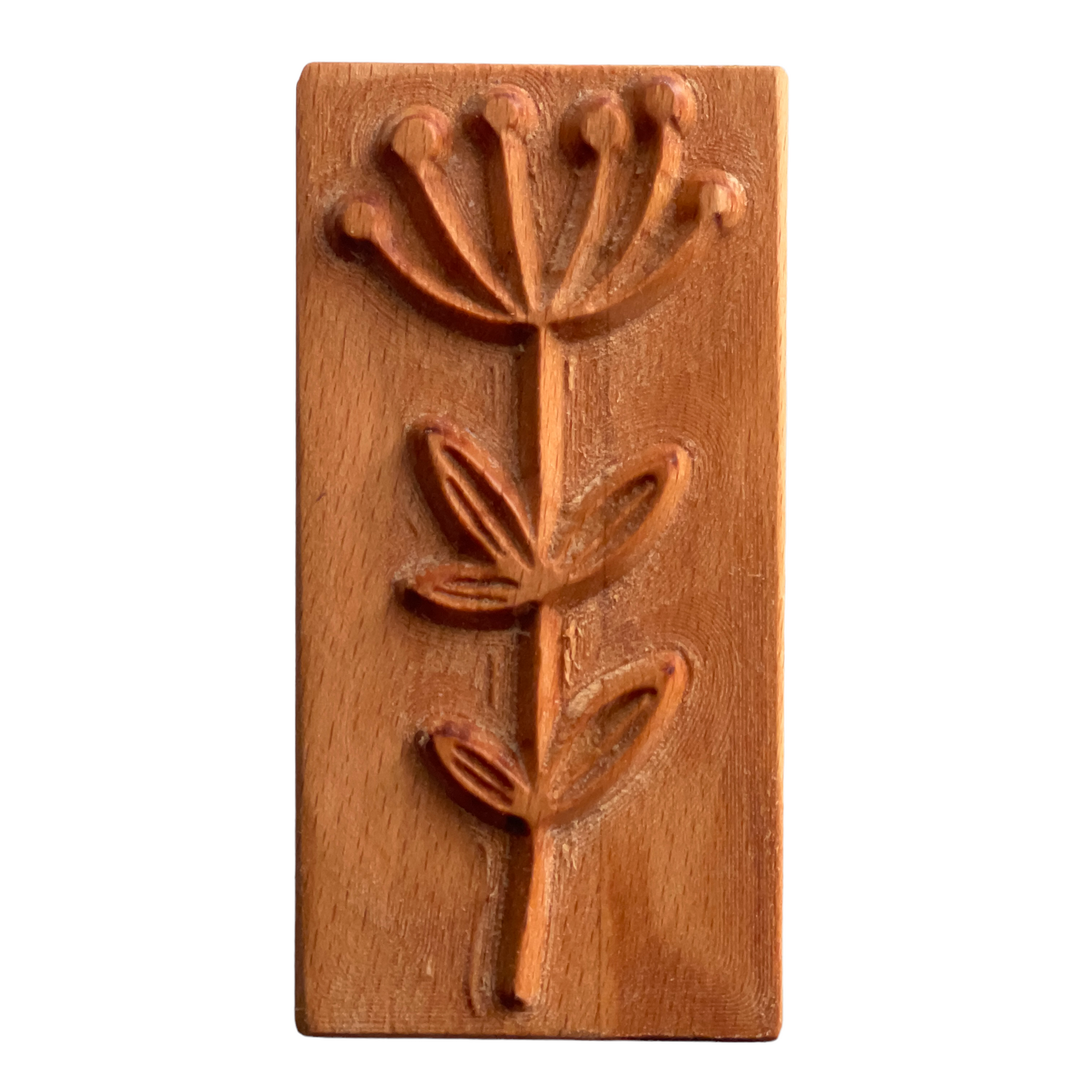 Rechteck-Stempel--Pflanze 5 TONA arts